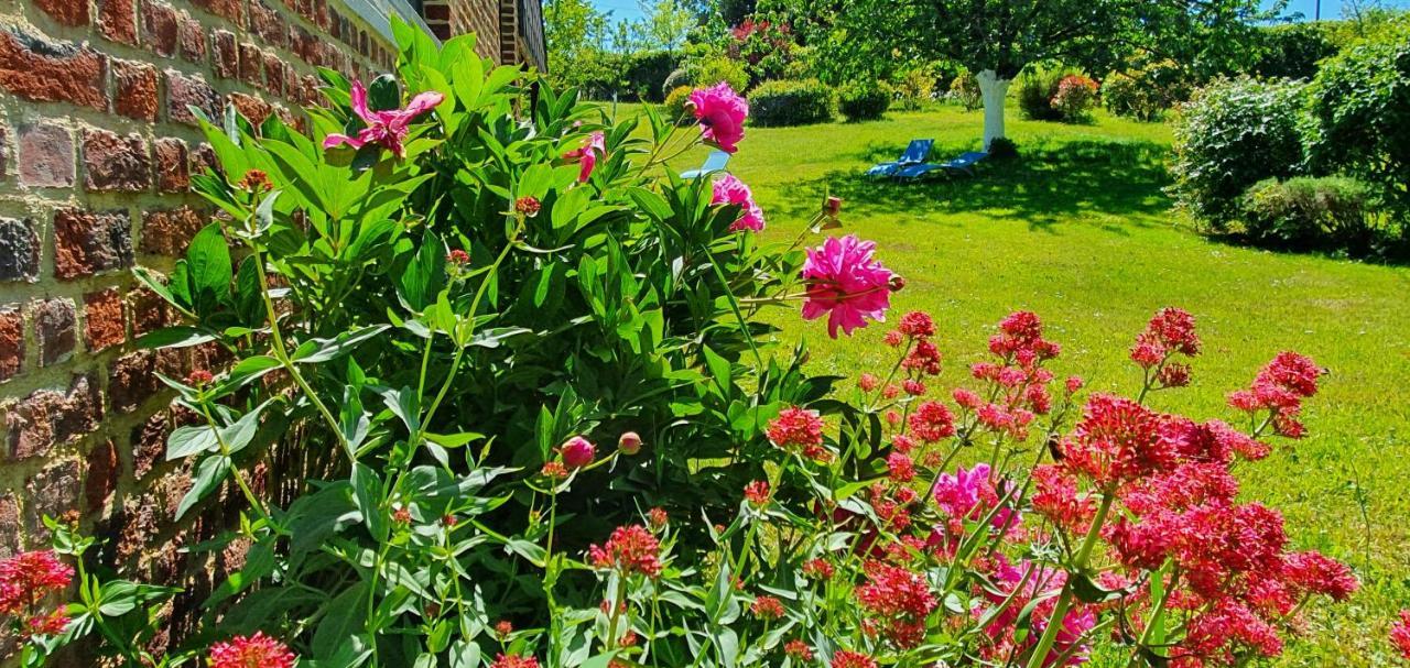 Les Mout'Anes Bed & Breakfast Saint-Hilaire-sur-Helpe Exterior photo