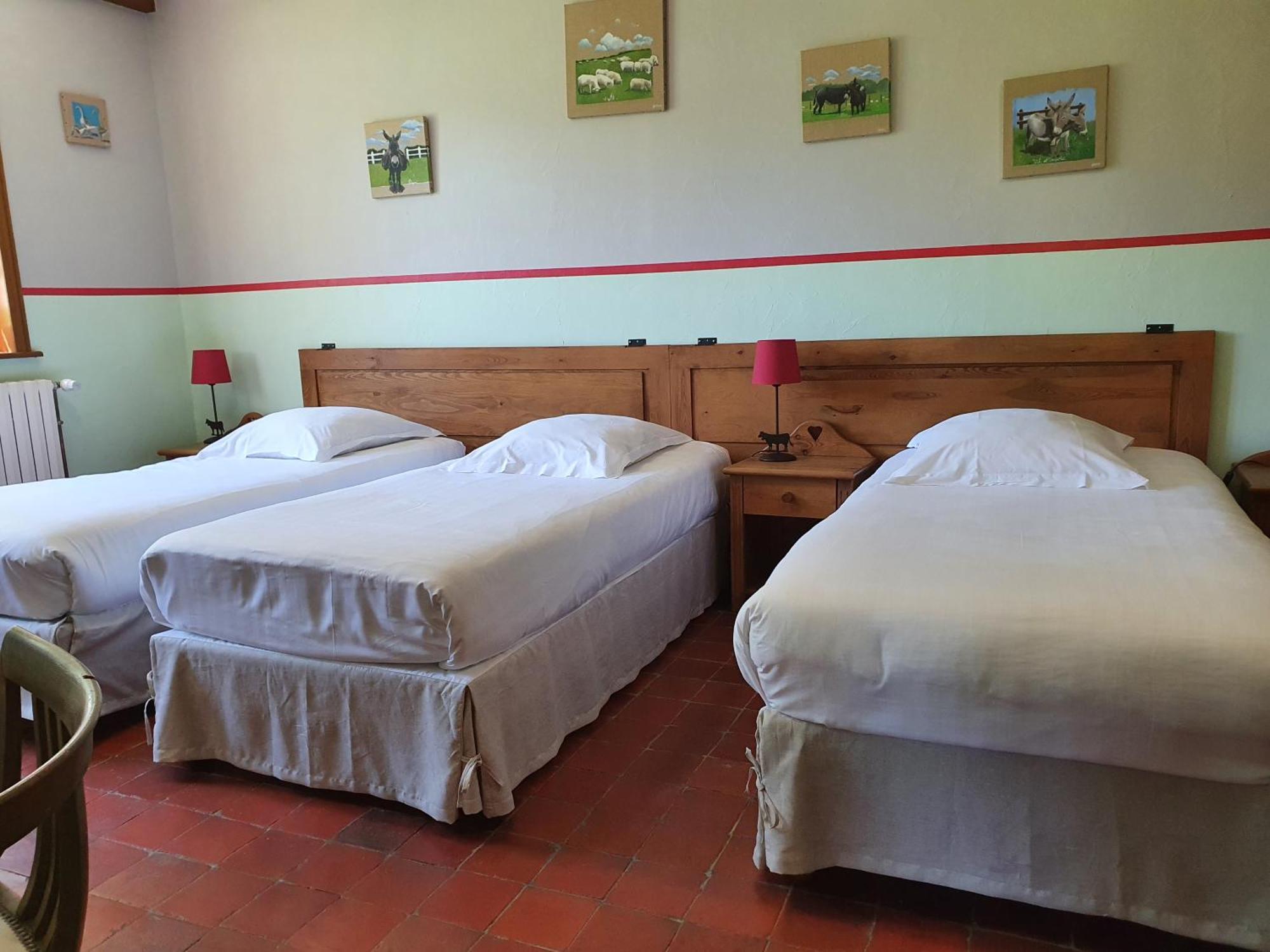 Les Mout'Anes Bed & Breakfast Saint-Hilaire-sur-Helpe Exterior photo