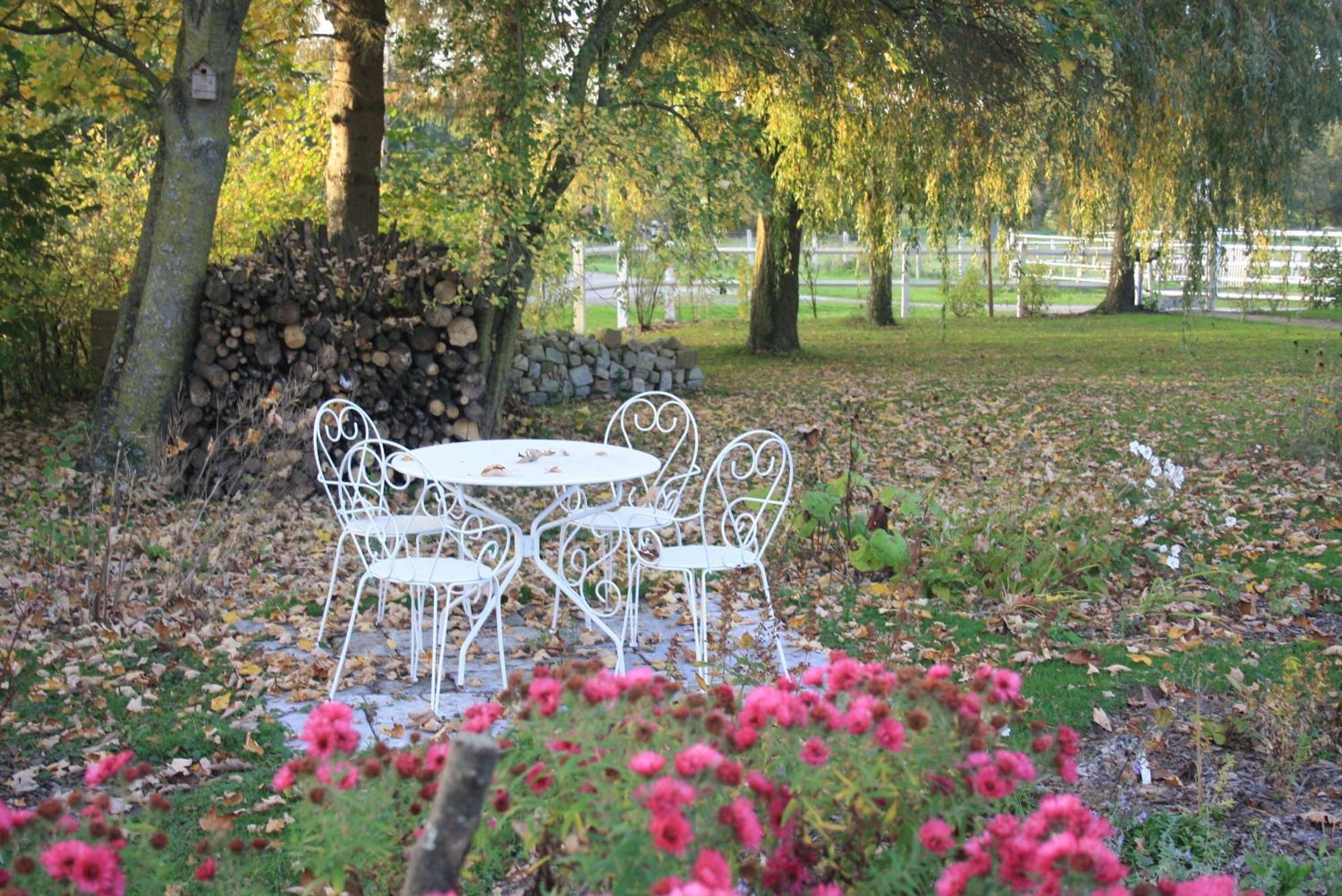 Les Mout'Anes Bed & Breakfast Saint-Hilaire-sur-Helpe Exterior photo