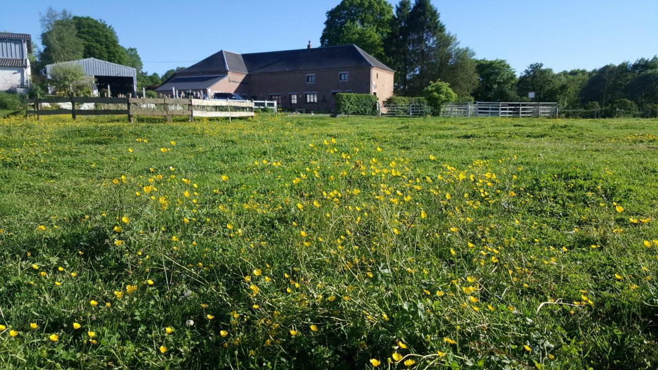 Les Mout'Anes Bed & Breakfast Saint-Hilaire-sur-Helpe Exterior photo